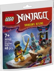 LEGO Ninjago „Arinos kova su drakonu“