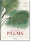 Martius. The Book of Palms