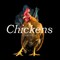 Chickens