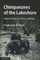 Chimpanzees of the Lakeshore