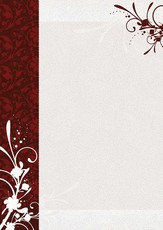 Dipl.popierius 170g Finezja