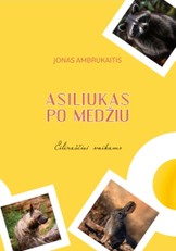 Asiliukas po medžiu. Eilėraščiai vaikams