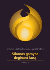 Šilumos gamyba deginant kurą