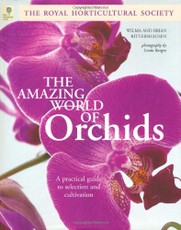 The Amazing World of Orchids: A Practical Guide to Selection and Cultivation