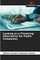 Leasing as a Financing Alternative for Public Companies