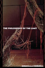 The Philosophy of the Limit