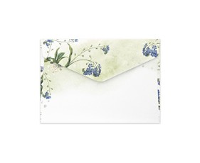 Vokai C6 NIEZAPOMINAJKI 120g 10vnt