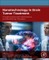 Nanotechnology in Brain Tumor Treatment