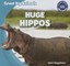 Huge Hippos