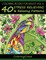 Coloring Books For Adults Volume 6