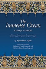 The Immense Ocean