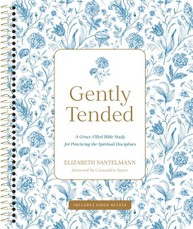 Gently Tended with Streaming Video Access