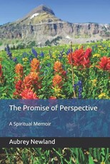 The Promise of Perspective