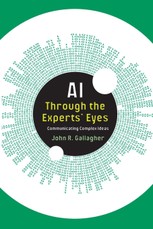 AI Through the Experts' Eyes