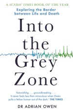 Into the Grey Zone