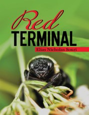 Red Terminal