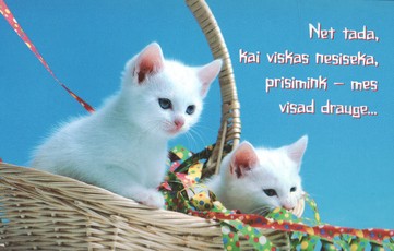 Dvigubas atvirukas su tekstu