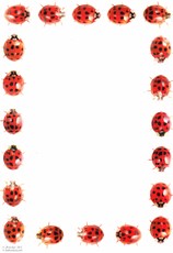 Diplomėlis su boružėm