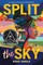 Split the Sky (Coretta Scott King Author Honor Title)