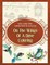 Owls & Other Birds Coloring Book for Grown Ups