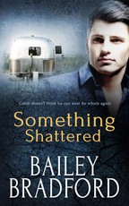 Something Shattered