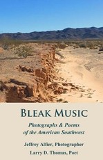 Bleak Music