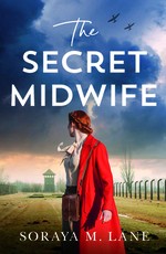The Secret Midwife
