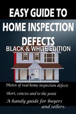 Easy Guide to Home Inspection Defects
