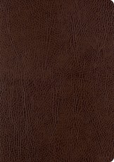 ESV Single Column Journaling Bible, Large Print (Mocha)