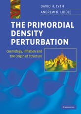 Primordial Density Perturbation
