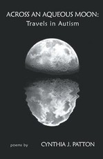 Across an Aqueous Moon
