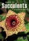 Guide to Succulents of Southern Africa
