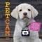 Petcam