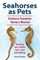 Seahorses as Pets.  Seahorse Complete Owners Manual. Seahorse care, health, tank, costs and feeding.