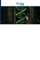 Phytochemistry
