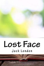 Lost Face