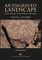 An Engraved Landscape: Rock Carvings in the Wadi Al-Ajal, Libya