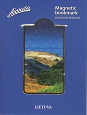 Magnetinis skirtukas. Nida
