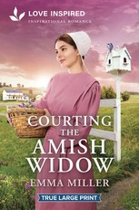 Courting the Amish Widow