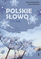 Polskie slovo. Podręcznik do kształcenia literackiego i językowego dla klasy 4