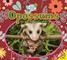 Opossums