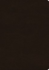 ESV Single Column Journaling Bible, Large Print (Trutone, Deep Brown)