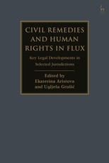 Civil Remedies and Human Rights in Flux