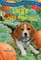 Absolutely Lucy #5: Lucy's Tricks and Treats