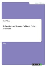 Reflection on Brouwer's Fixed Point Theorem
