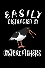 Easily Distracted By Oystercatchers