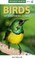 Pocket Guide: Birds of Southern Africa