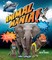 Animalmania!