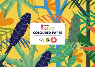 Spalvotas popierius DISCO PICASSO