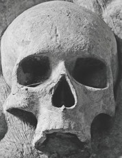 Gothic Skull Sheet Music Paper